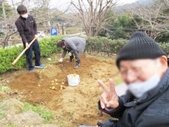 写真：ジャガイモ堀り