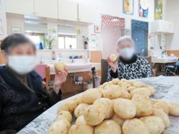 写真：ジャガイモ堀り