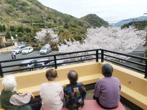 写真：お花見の様子