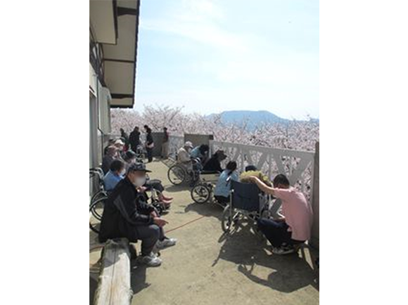 崎野自然公園に花見