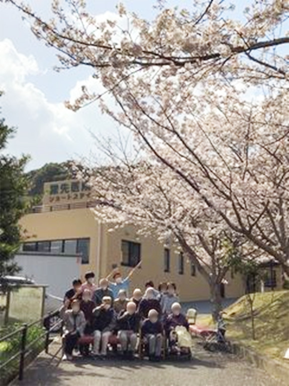 お花見