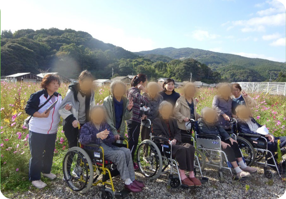 四季を通じて外食や外出をし、季節を楽しみます。